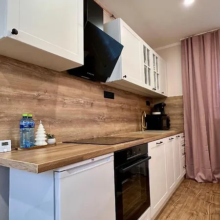 R&l Lazovna 2 - Centre And Free Private Parking Apartament *